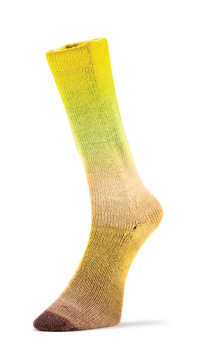 Laines du Nord Harmonious Sock Sockenwolle 4 fädig 100 g