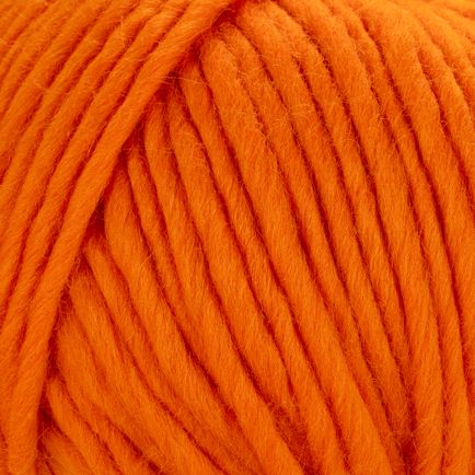 Laines du NORD Young and Trendy Solid – 100 % mulesingfreie Schurwolle 80 m 100 g
