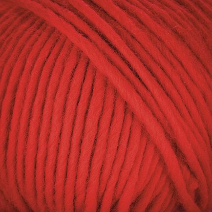 Laines du NORD Young and Trendy Solid – 100 % mulesingfreie Schurwolle 80 m 100 g