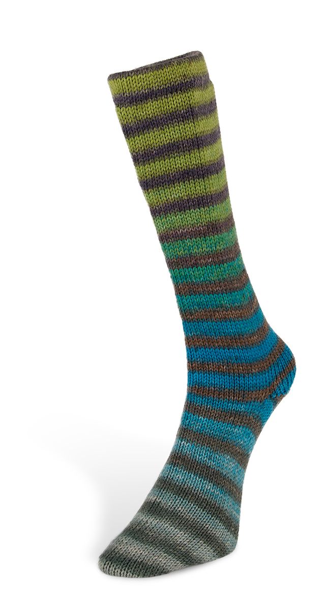 Laines du Nord Paint Socks 6 PLY Sockenwolle 6fädig 150 g