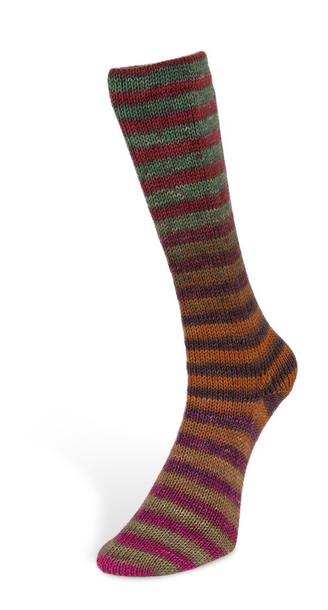 Laines du Nord Paint Socks 6 PLY Sockenwolle 6fädig 150 g