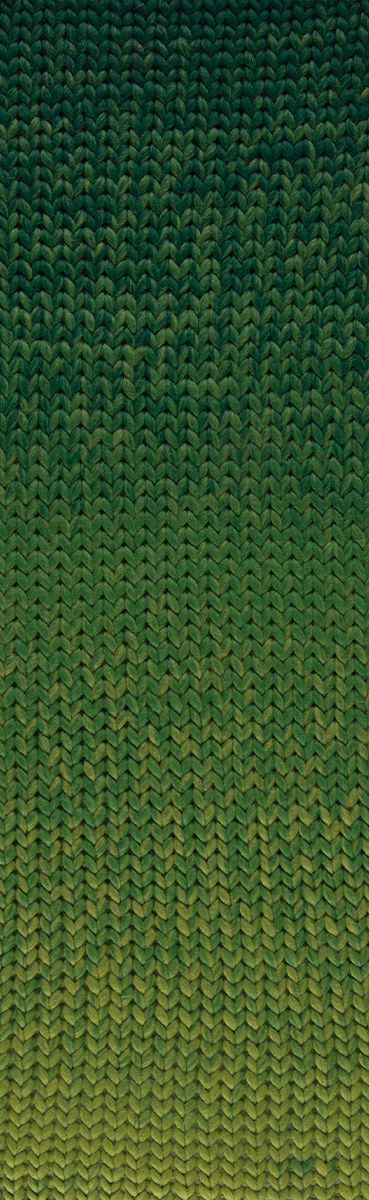 Laines du NORD Chunky Degrade 200 g 100 % Schurwolle