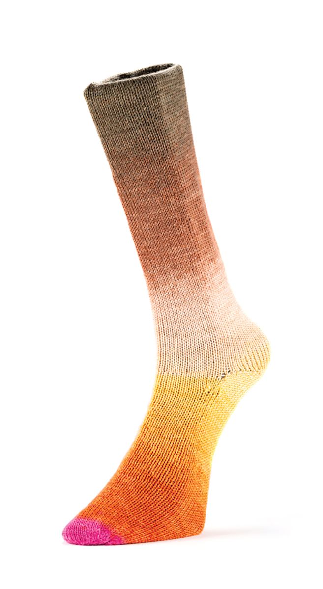 Laines du Nord Harmonious Sock Sockenwolle 4 fädig 100 g