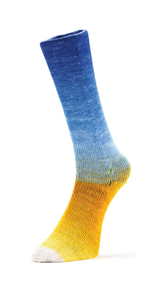 Laines du Nord Harmonious Sock Sockenwolle 4 fädig 100 g